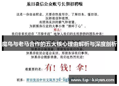 魔鸟与老马合作的五大核心理由解析与深度剖析
